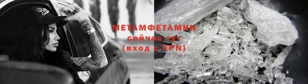 прущие грибы Карпинск