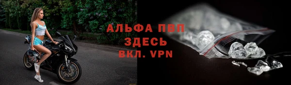 прущие грибы Карпинск