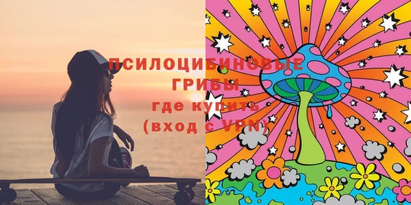 прущие грибы Карпинск