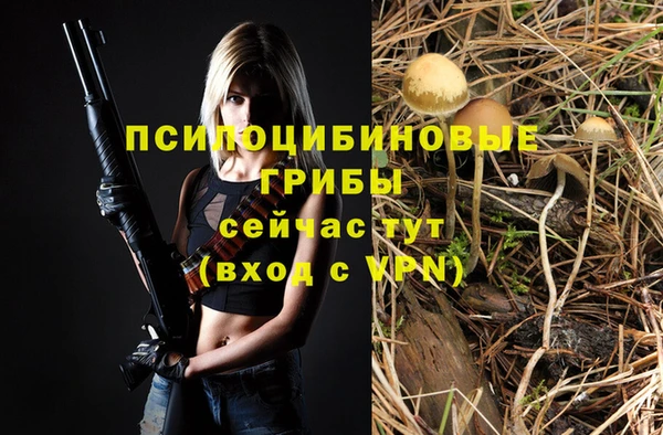 прущие крисы Киреевск