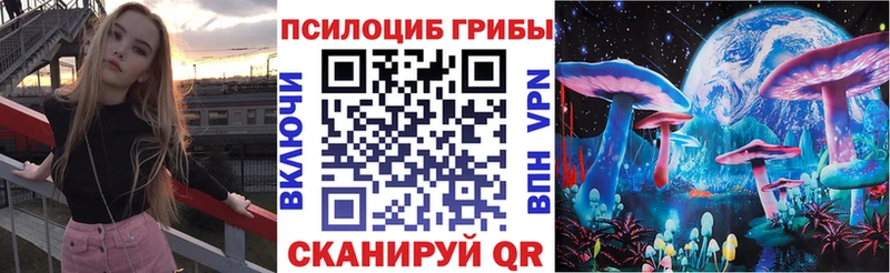 Галлюциногенные грибы мицелий  Купить закладки  Богородицк 